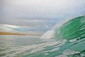 DSC_0117 copie